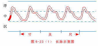 长脉