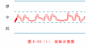 促脉