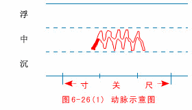 动脉