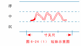 短脉