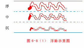 浮脉