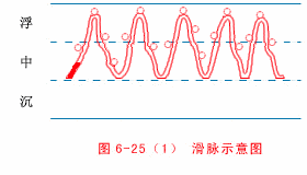 滑脉