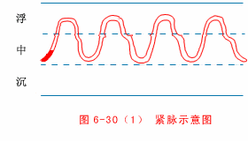 紧脉