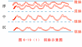 弱脉