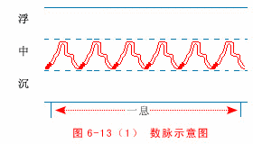 数脉