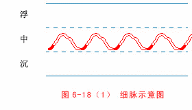 细脉