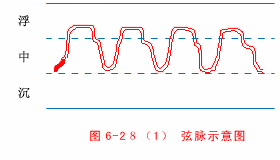 弦脉